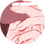 dennisprice-button.jpg