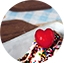 icecreams button 04.jpg